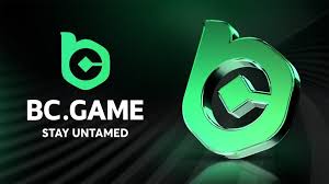 تسجيل الدخول في BC.Game - دليلك الشامل
