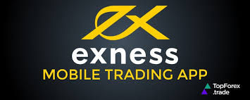 Maximizing Your Potential Forex Trading With Exness